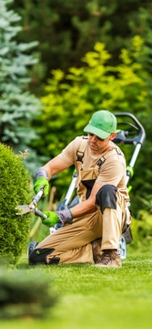 job-image