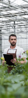 job-image