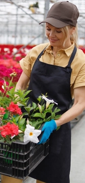 job-image